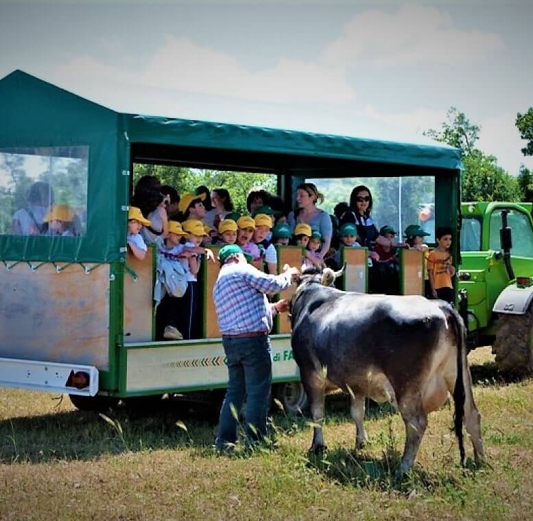 agribus-agriturismo amicizia