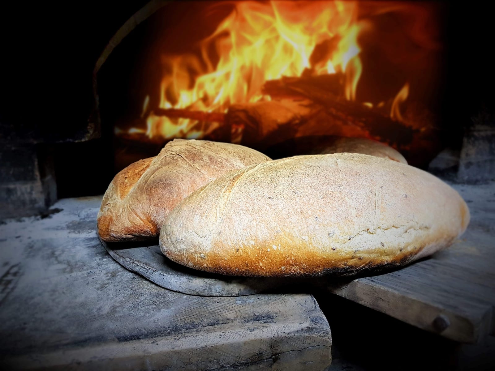 Il pane dell’agriturismo appena cotto nel forno a legna